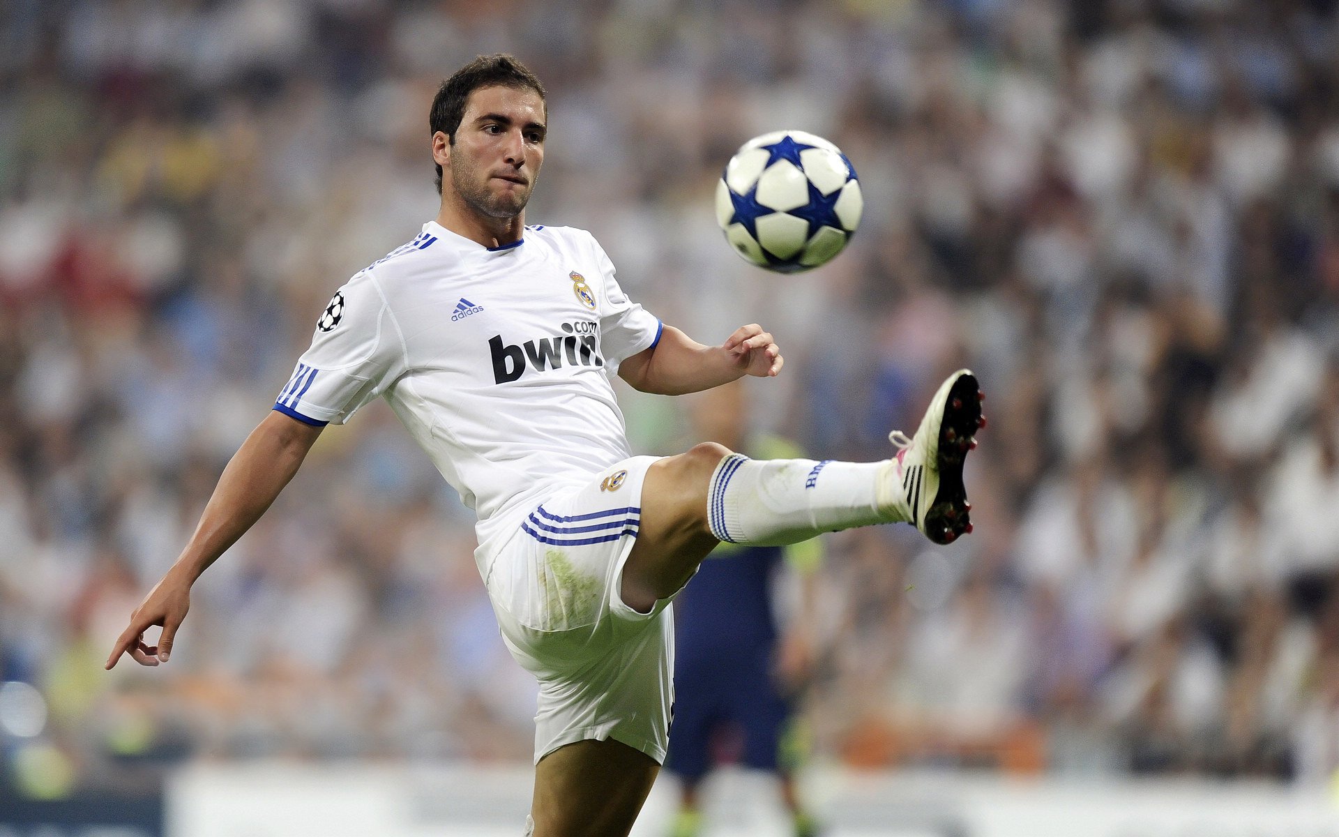 夺冠秘籍：冠军队伍的战术精髓深度剖析，冠军技巧